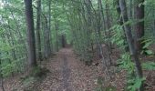 Tocht Stappen Esneux - du réservoir à la chapelle Simon par les petits chemins - Photo 4