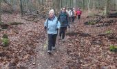 Excursión Senderismo Fontainebleau - carrefour des 8 routes 20 janvier 2023   - Photo 2