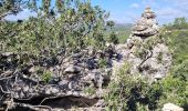 Tocht Stappen Solliès-Toucas - Sioux Blanc rando de Roger - Photo 1