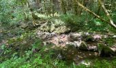 Trail Walking Verfeil-sur-Seye - Boucle verfeil  - Photo 10