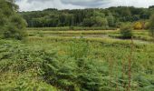 Tour Wandern Bouillon - Dohan 12km 2020  - Photo 3