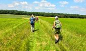 Trail Walking Milly-la-Forêt - Boucle 29 km Milly La Forêt - Le Vaudoué - Tousson - Photo 6