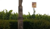 Randonnée Marche Rosheim - Le vignoble de Rosheim - Photo 3