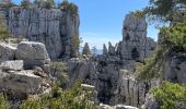 Tour Wandern Castellane - Chasteuil (04) ; Cadières de Brandis - Photo 13