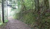 Trail Walking Echternach - mullerthal rando E1 . echternach . berdorf . echtrnach . via gorge du loup - Photo 5