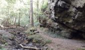 Trail Walking Vresse-sur-Semois - laforet 060820 - Photo 5