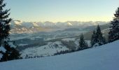 Tour Zu Fuß Blaichach - Rundweg Alpvielfalt - Photo 8