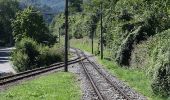 Randonnée A pied Brannenburg - Wendelstein - Reindler Alm - Mitteralm - Aipl - Zahnradbahn (Talbahnhof) - Photo 9