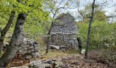 Tour Wandern Saint-Saturnin-lès-Apt - APT S Saturnin d Apt  , sentier des Auguiers et des bornes o - Photo 7