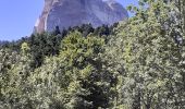 Trail Walking Chichilianne - mont aiguille - Photo 6