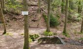 Excursión Senderismo Lemberg - Lemberg - cascade des Ondines - sentiers des grottes et des étangs - Photo 14