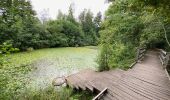 Tour Wandern Halle - S-GR Groene Gordel :  Halle - Groenendael - Photo 18