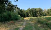 Trail Walking Saint-Hubert - Transforestiere 3  - Photo 16