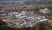 Tour Zu Fuß Wangen im Allgäu - Wanderweg 7 Wangen im Allgäu - Photo 6