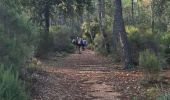 Excursión Senderismo Gonfaron - Gonfaron vautaillede - Photo 16