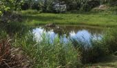 Trail Trail Sainte-Anne - Belle mare - Photo 2