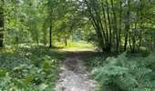 Randonnée Marche Coyolles - en Forêt de Retz_96_08_2025_autour de l'Enclave de Vauciennes - Photo 8