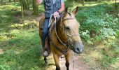 Tocht Paardrijden Badonviller - Grand chêne vierge clarisse  - Photo 4