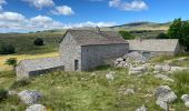 Tour Wandern Vialas - Mas de la barque source du Tarn - Photo 2