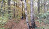 Tour Wandern Trooz - FORÊT VILLAGE  - Photo 11