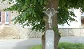 Trail On foot Anthisnes - AS06 Boucle des Sarts - Photo 5