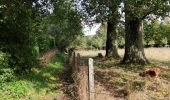 Randonnée Marche Incourt - Promenade du Tumulus (6,1km)  - Photo 18