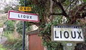 Excursión Senderismo Lioux - Combe de Lioux Falaise de la Madeleine  - Photo 13