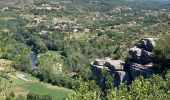 Excursión Senderismo Berrias-et-Casteljau - Le bois de Païolive - Photo 5