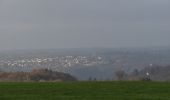 Trail Walking Verviers - 20201129 - Maison Bois 5.1 Km - Photo 1