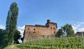 Tour Wandern Barolo - Barolo Vergne Novello - Photo 14