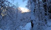 Trail Walking Les Deux Alpes - Le Garcin- Deux Alpes - Photo 4