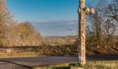 Tour Wandern Bellême - Bellême - Saint-Aubin-des-Grois 12 km - Photo 2