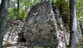 Tour Zu Fuß Gemeinde Alland - Allander Wanderweg 11 - Photo 5