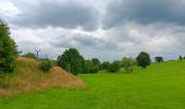Trail Walking Herve - bolland . favechamps . la vaux . melen . bolland  - Photo 12