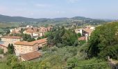Tour Wandern San Gimignano - Pancolle / Colle val.d'Elsa - Photo 11