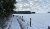 Trail Walking Bastogne - Bastogne 24,5 km - Photo 11