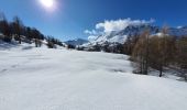 Tour Schneeschuhwandern Vars - Sur les pentes ouest de Peynier  - Photo 4