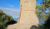 Randonnée Marche Serra-di-Ferro - Serra di Ferro, Tour Campanella  - Photo 2