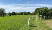 Trail Walking Frameries - SARS les Bruyère 17 km - Photo 15