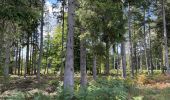 Trail Walking Vielsalm - Initiation bivouac j1 - Photo 5