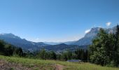 Randonnée Marche Arâches-la-Frasse - randonnée en forêt, les Carroz, Araches, la Frasse - Photo 9