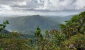 Tour Wandern Le Lorrain - Morne Jacob au Panneau ONF - Photo 10