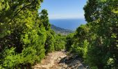 Trail Walking Bastia - tracė - Photo 1