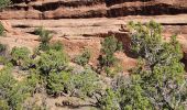 Tocht Stappen Unknown - 2024 Arches NP Devil's garden - Photo 17