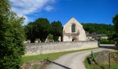 Tour Wandern Cravant-les-Côteaux - Cravant-les-Côteaux - GR48 les Loges - 24.7km 320m 5h40 - 2022 07 03 - Photo 8