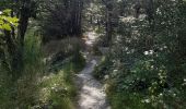 Randonnée Marche Houffalize - tour du lac des 2 ourthes - barrage de Nisramont  - Photo 5