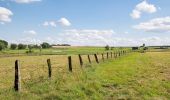 Tour Zu Fuß Willebadessen - Rundwanderweg 