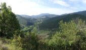 Tour Wandern Pradelle - Pradelle - Vallée de la Roanne - Photo 6