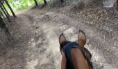 Trail Horseback riding Saint-Apollinaire-de-Rias - St Appollinaire de Rias au top 👍 - Photo 6
