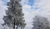 Tour Wandern Stablo - Stavelot  - Somagne - La Vaulx Richard - Photo 10